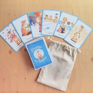 80 Cartes Besoins